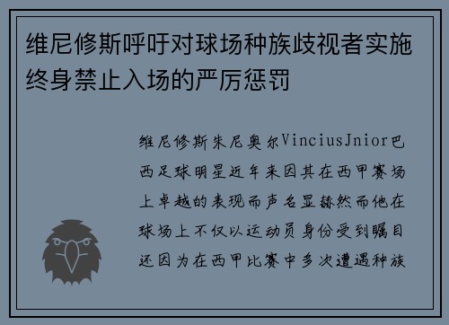 维尼修斯呼吁对球场种族歧视者实施终身禁止入场的严厉惩罚